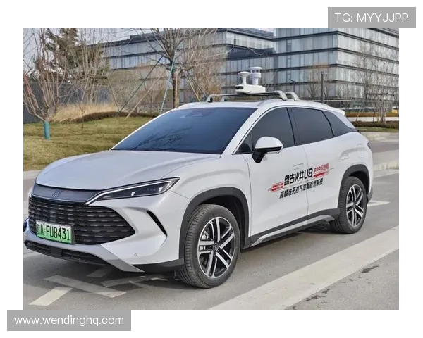 问鼎官网手机版：安全稳定保障，确保您的信息安全与隐私保护