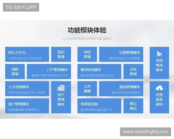 问鼎.ccm入口网站：常见功能模块介绍及使用技巧详解