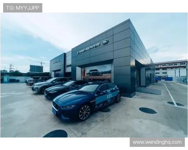 问鼎国际电脑版：为企业提供全方位的国际市场数据分析支持