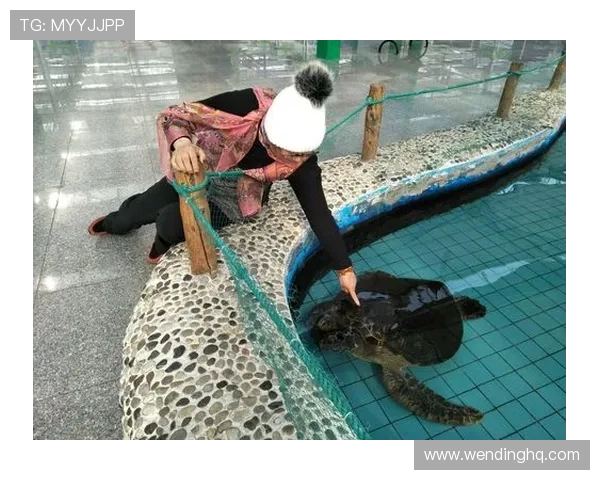 博鱼体育平台下载后常见问题解决方案，帮助用户排除使用中的各种困扰